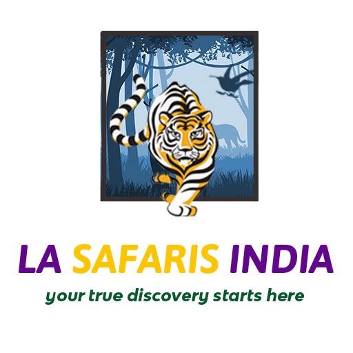 Flora and Fauna of Kaziranga—A Biodiversity Hotspot - La Safaris India