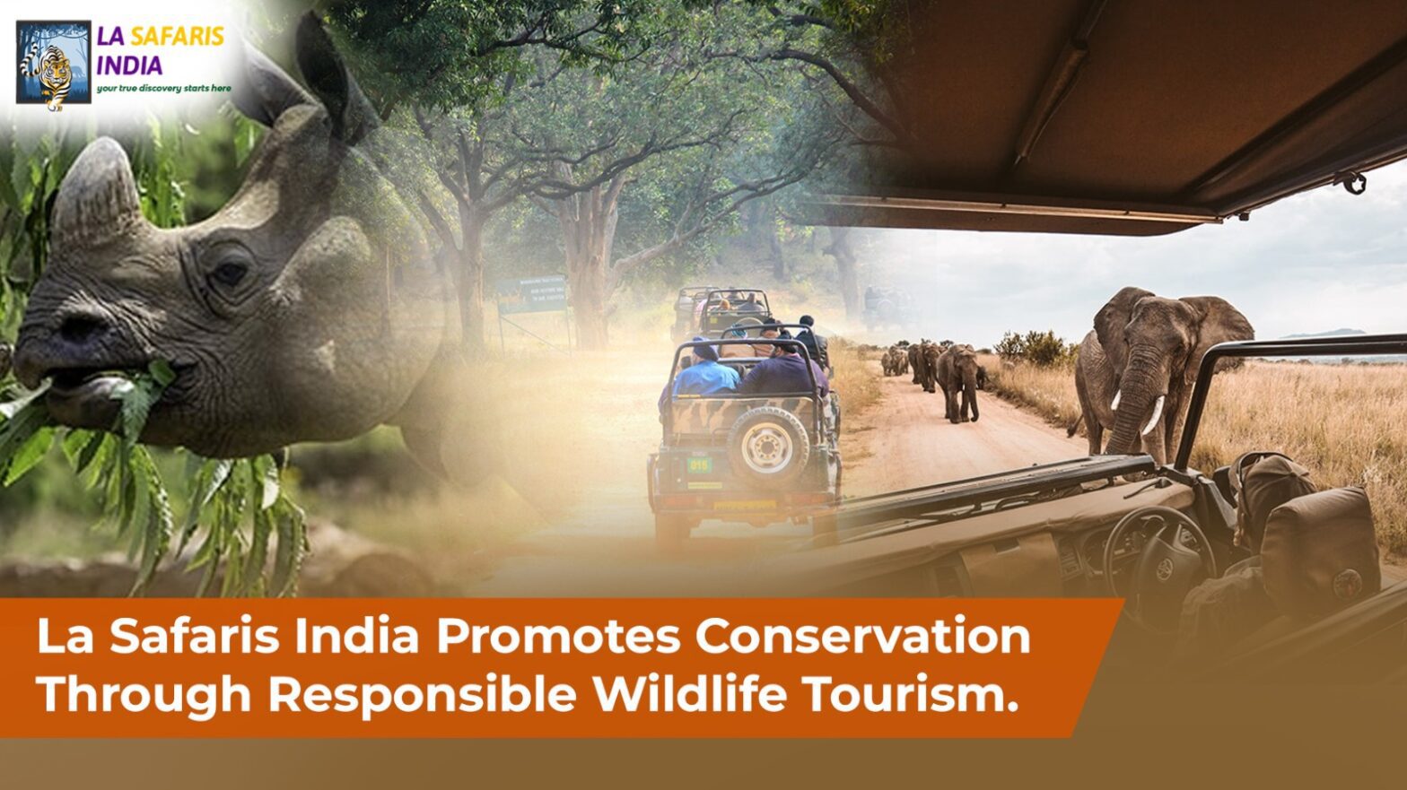 wildlife tours in india