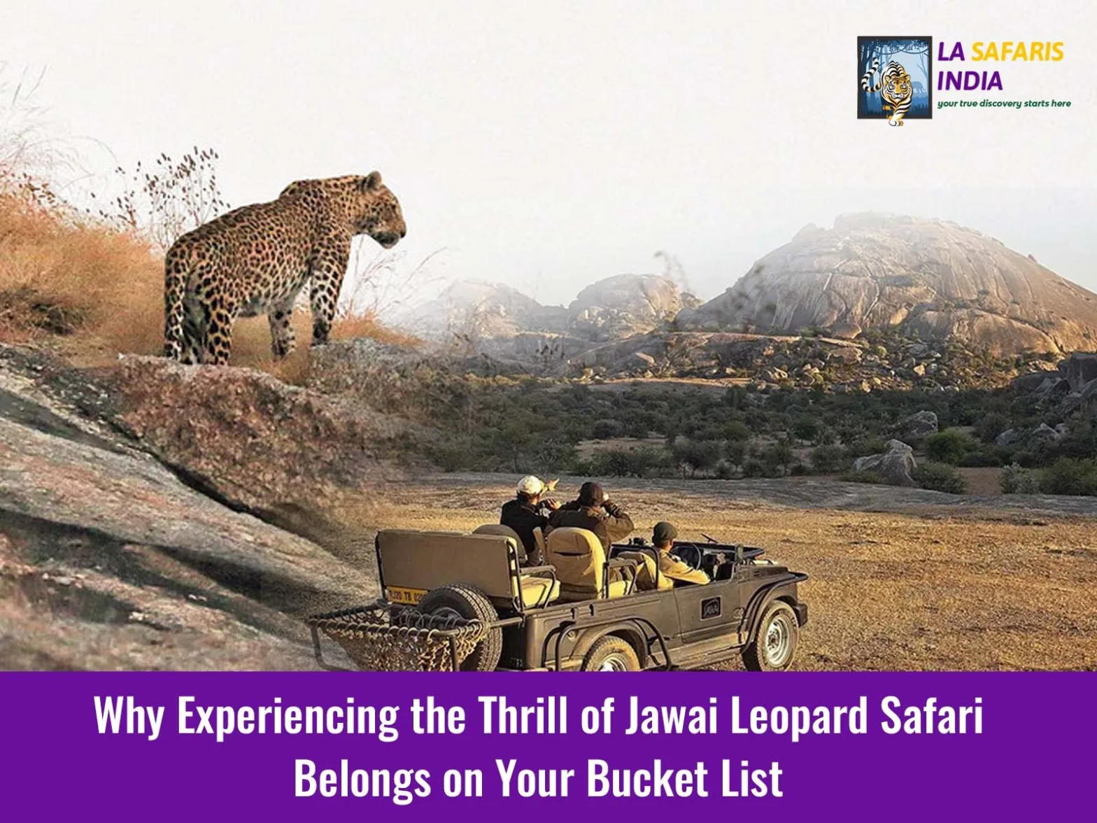 Jawai Leopard safari tour from Delhi