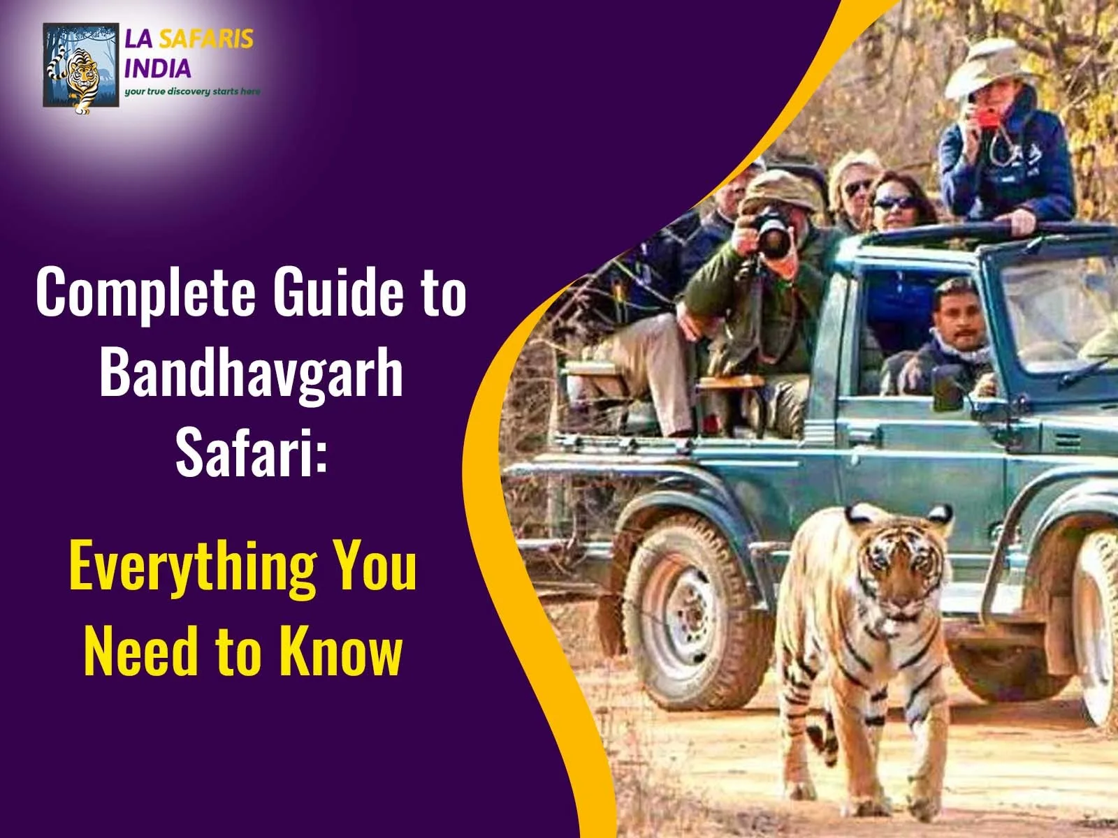 Complete Guide to Bandhavgarh Safari: Everything You Need to Know