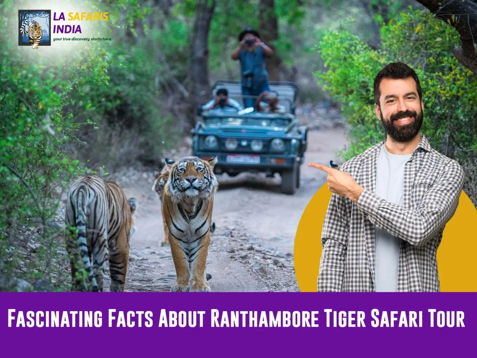 Ranthambore Tiger Safari Tour from Delhi