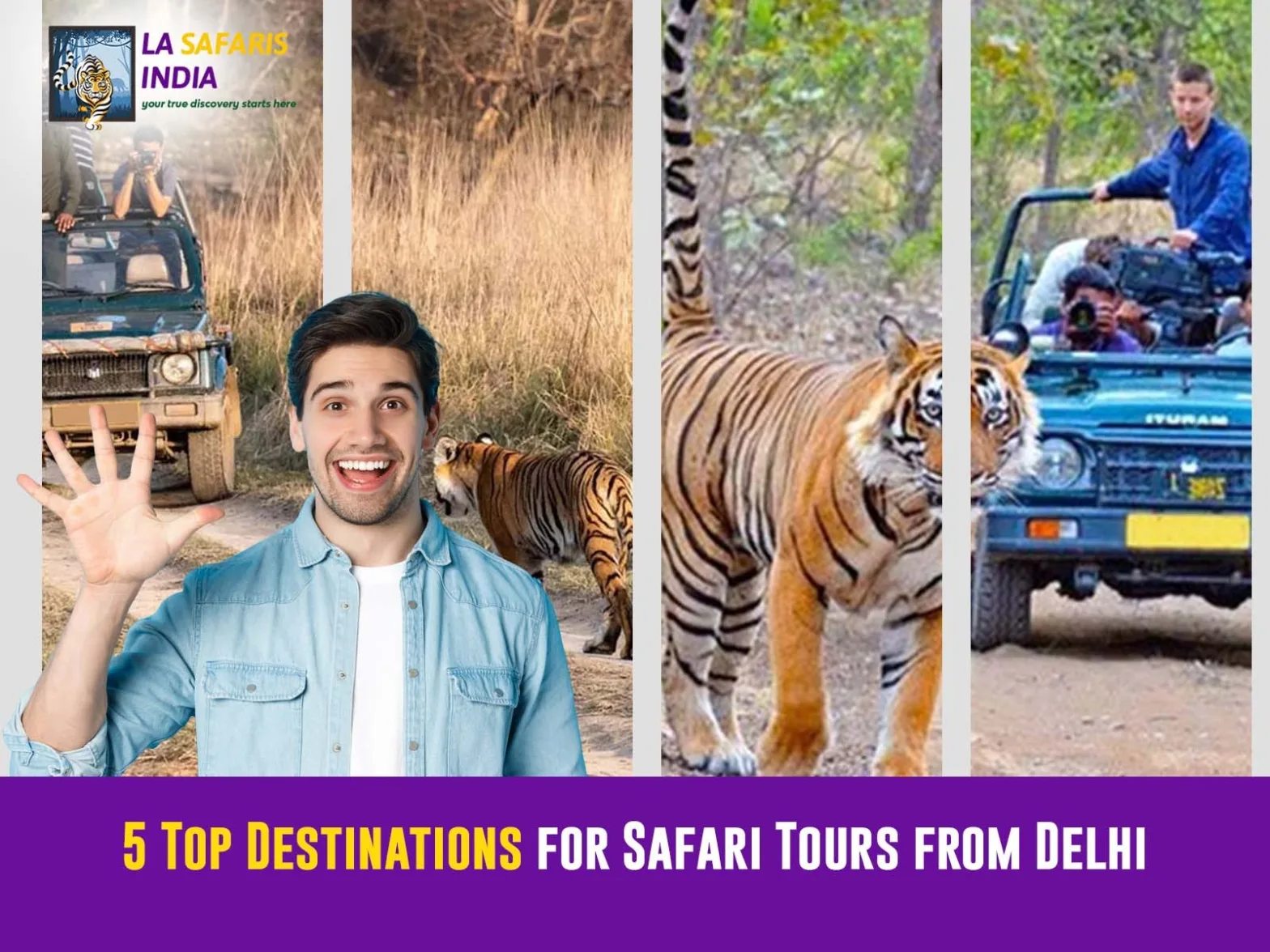 Safari Tours from Delhi