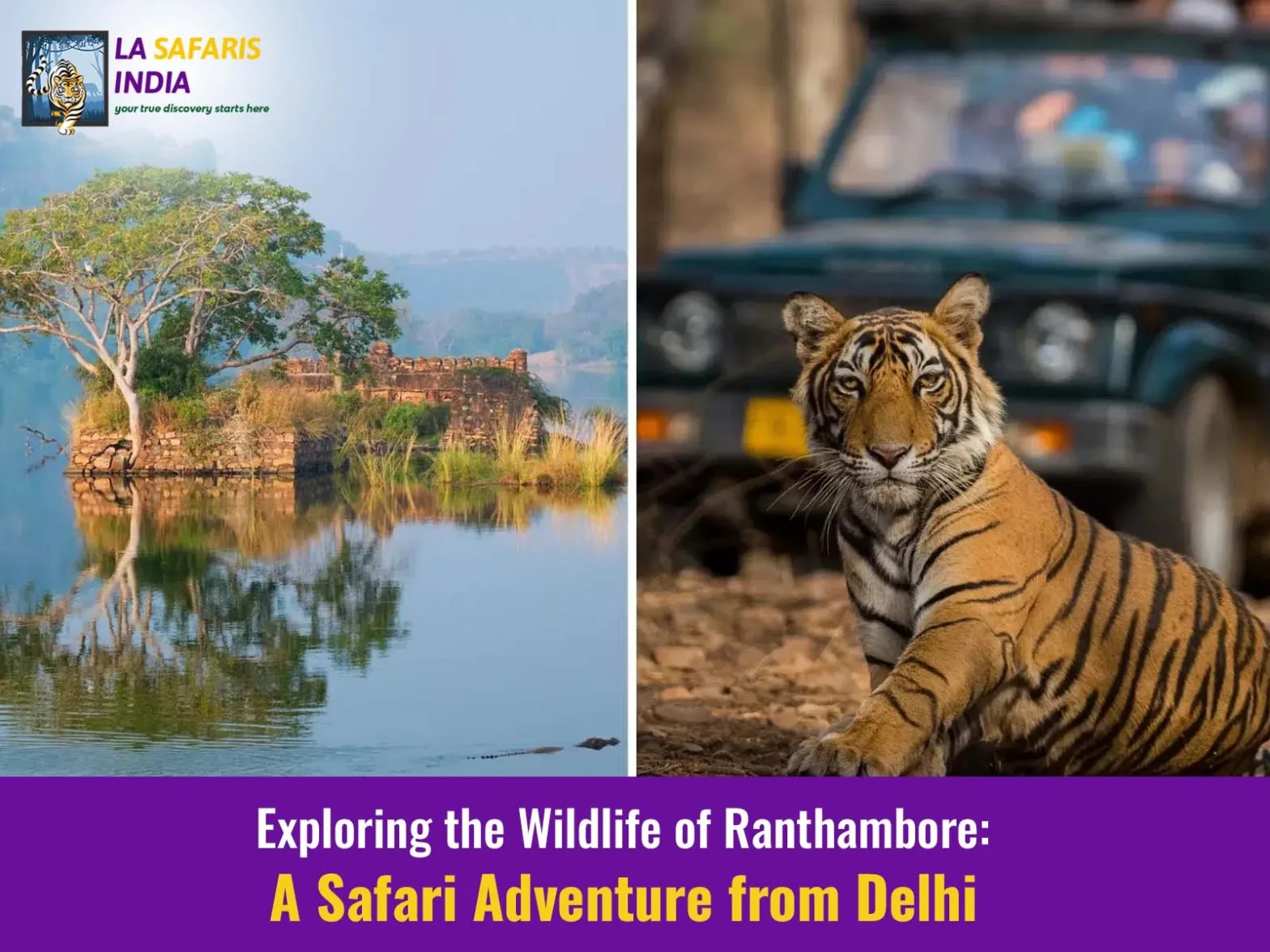 Ranthambore Wildlife Safari tour from Delhi