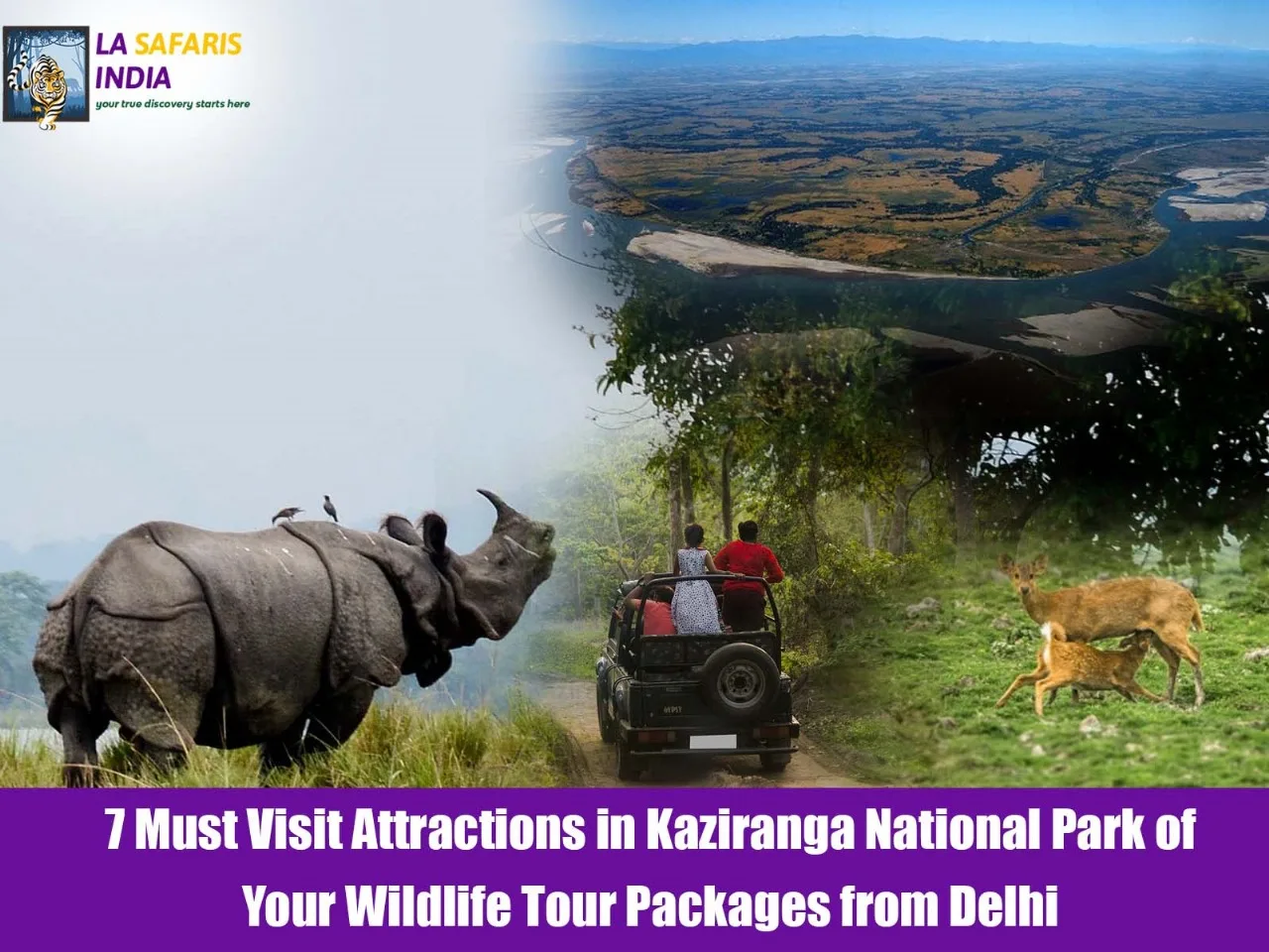 wildlife tour packages from Delhi