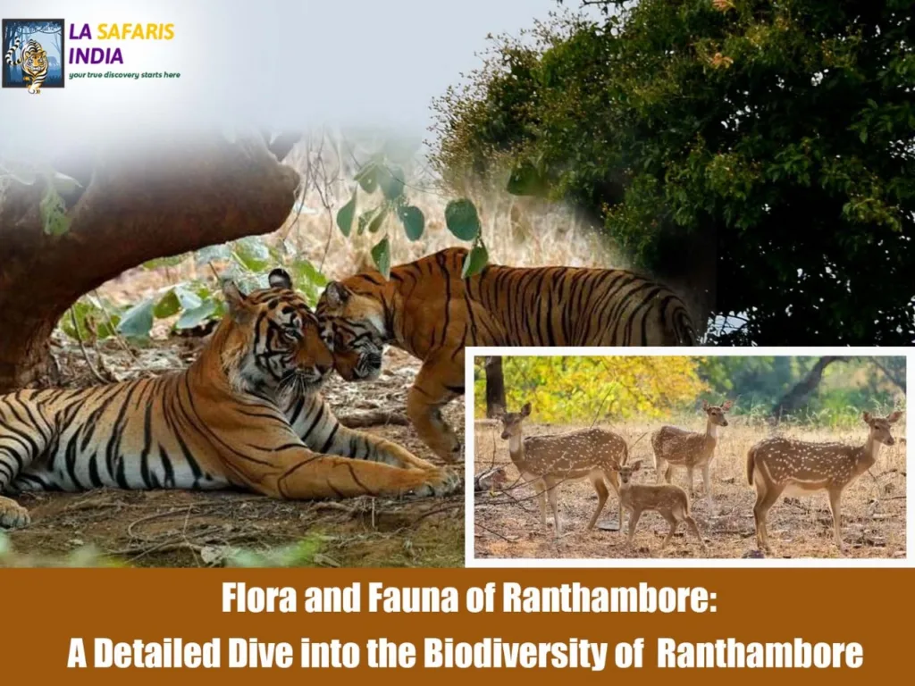 Flora and Fauna of Ranthambore: A Detailed Dive into the Biodiversity of  Ranthambore