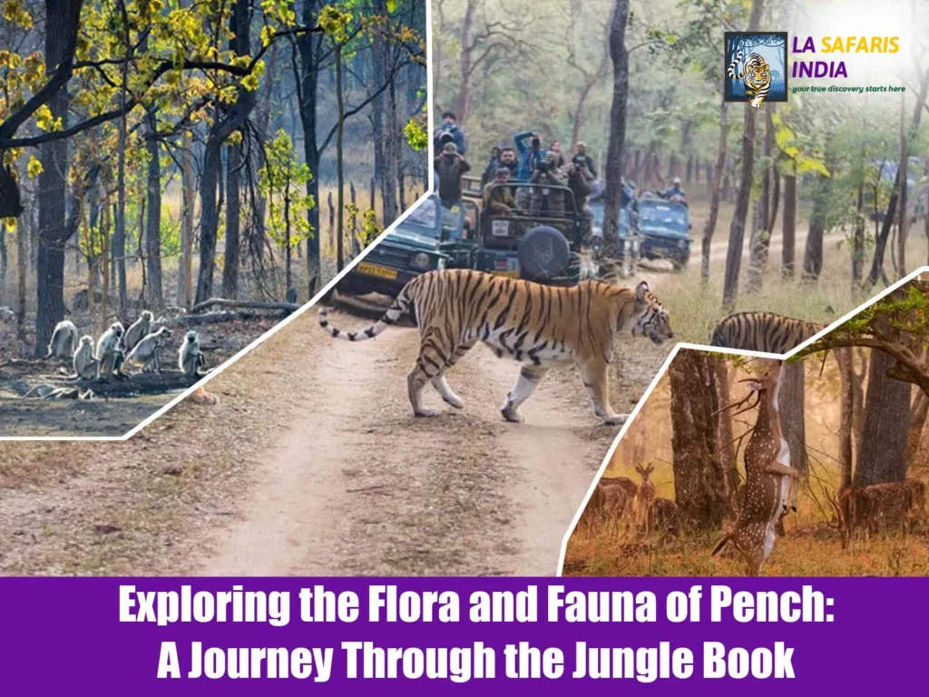 Exploring the Flora and Fauna of Pench: A Journey Through the Jungle Book