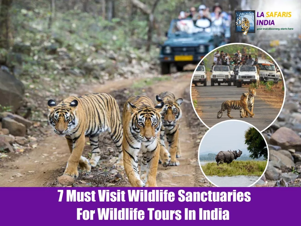 Wildlife Tours In India