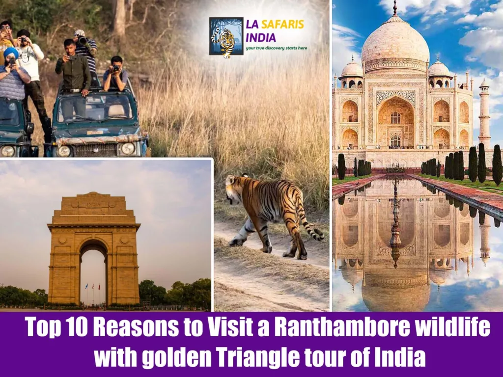 Top 10 Reasons to Visit a Ranthambore wildlife with golden Triangle tour of India