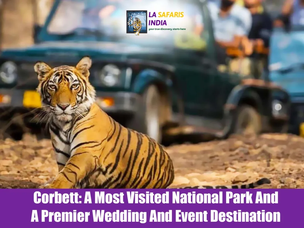 Corbett: A Most Visited National Park And A Premier Wedding And Event Destination