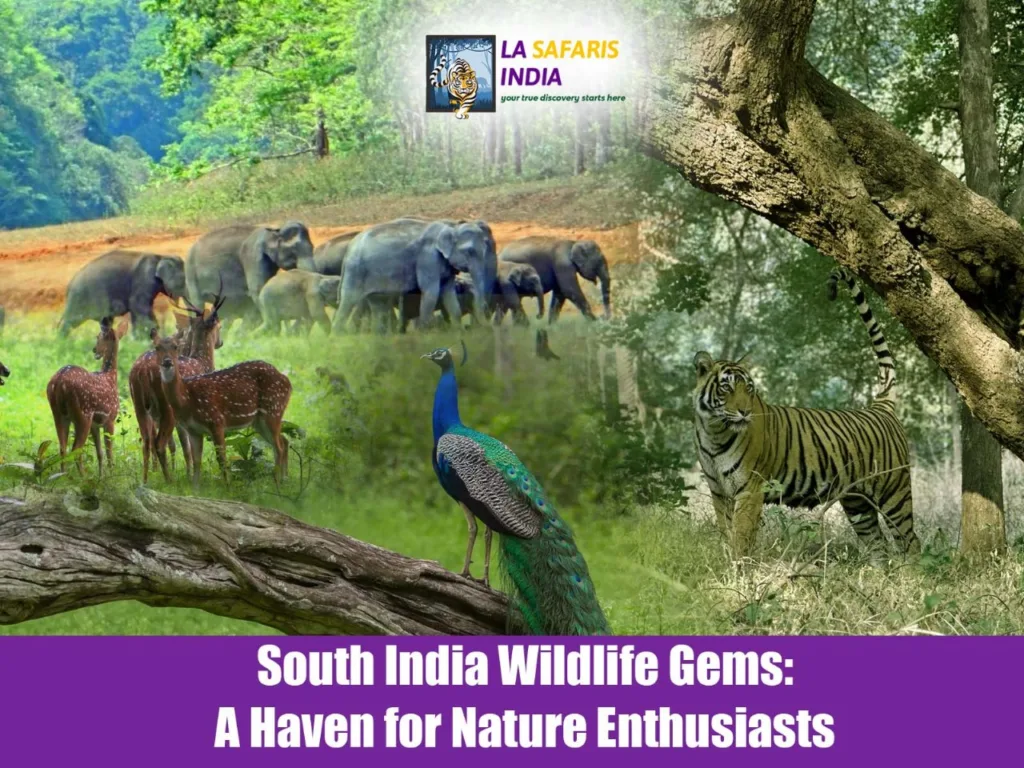 South India Wildlife Gems: A Haven for Nature Enthusiasts