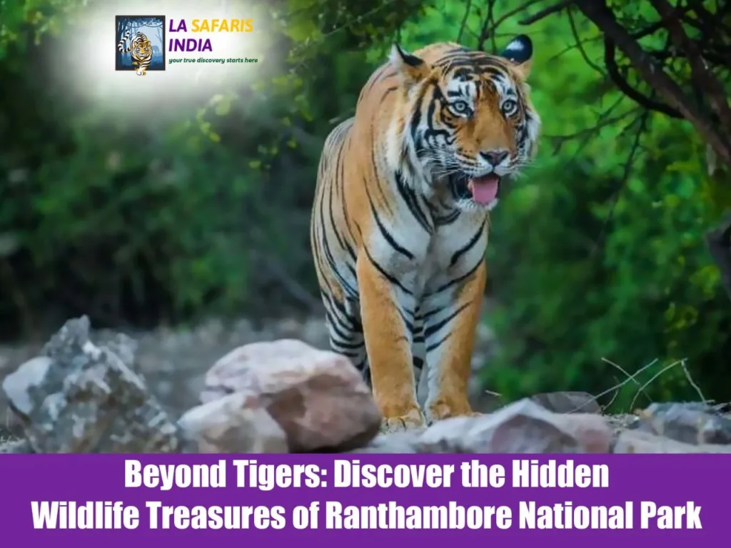 Beyond Tigers: Discover the Hidden Wildlife Treasures of Ranthambore National Park