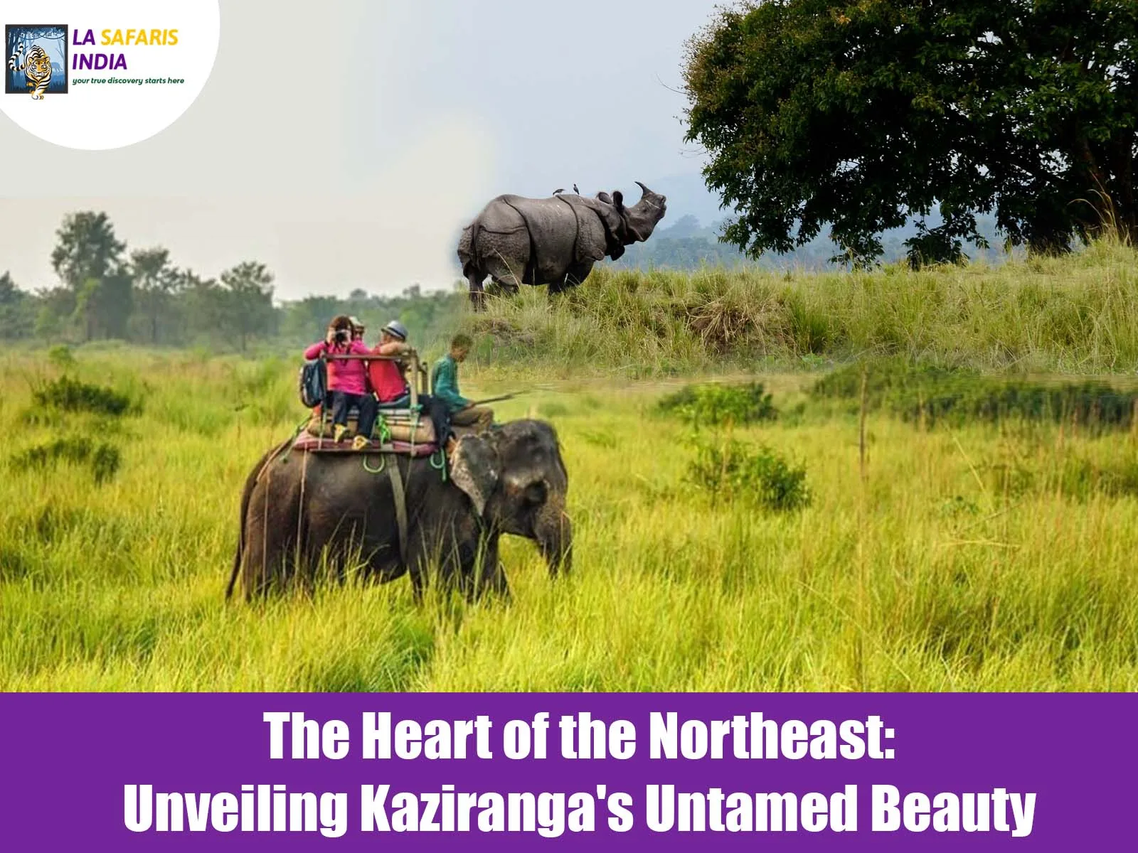 The Heart of the Northeast: Unveiling Kaziranga’s Untamed Beauty