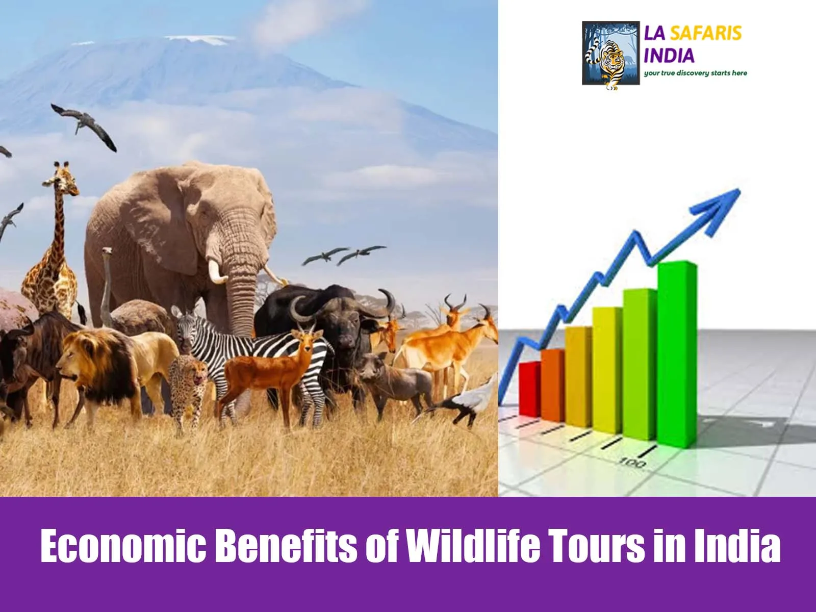 Economic Benefits of Wildlife Tours in India