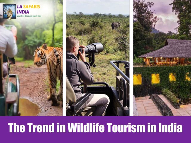 The Trend in Wildlife Tourism in India