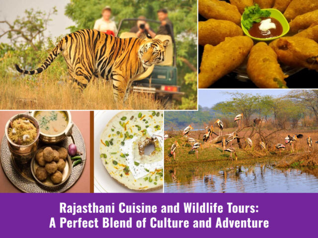Rajasthani Cuisine and Wildlife Tours: A Perfect Blend of Culture and Adventure