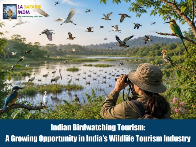 Indian Birdwatching Tourism: A Growing Opportunity in India’s Wildlife Tourism Industry