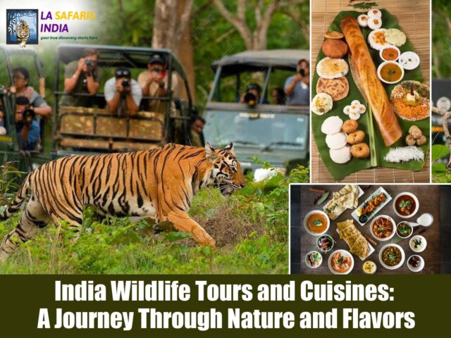 India Wildlife Tours and Cuisines: A Journey Through Nature and Flavors