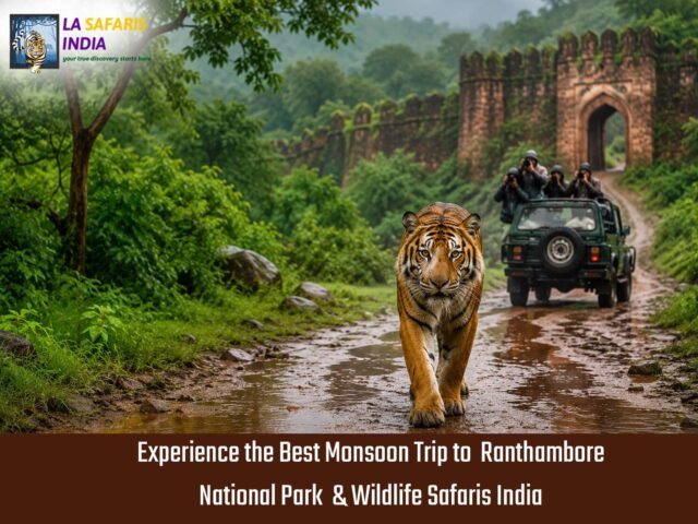 Monsoon Trip to Ranthambhore National Park- Best Ranthambore Wildlife Safari Tour from Delhi