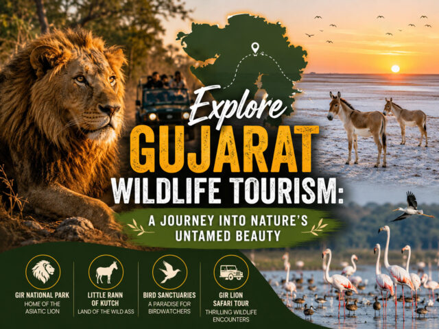 Explore Gujarat Wildlife Tourism